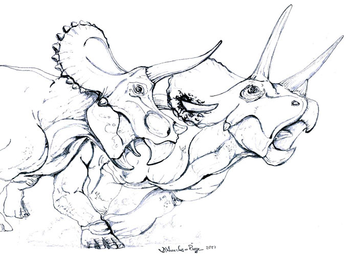 Sebuah Lubang di Triceratops Bernama Big John