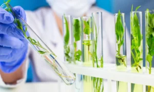 Bioteknologi, Melangkah Maju dalam Era Inovasi