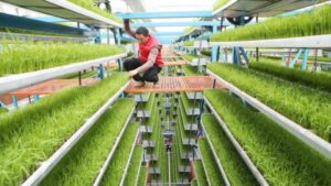 Menggali Potensi, Teknologi Sains Terbaik di Indonesia